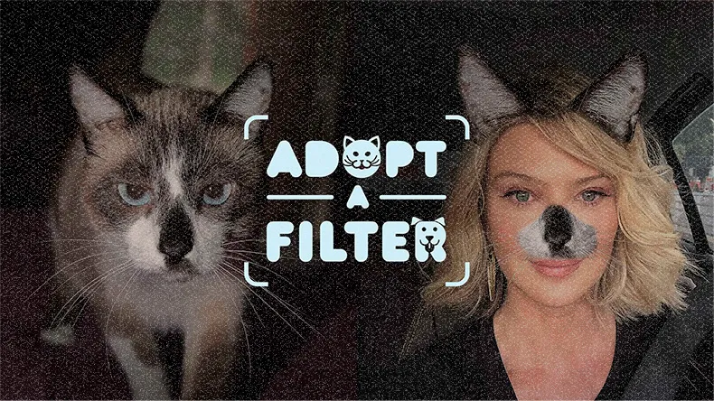 Projeto Adopt the Filter